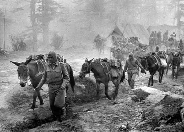 Mules carrying ammunition over a mountain pass during 1962 War.
