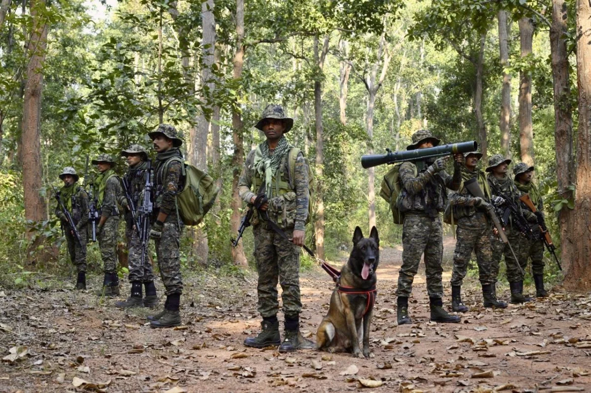 ‘Nation salutes its brave personnel’: VP Radhakrishnan, HM Amit Shah extend wishes on CRPF Raising Day