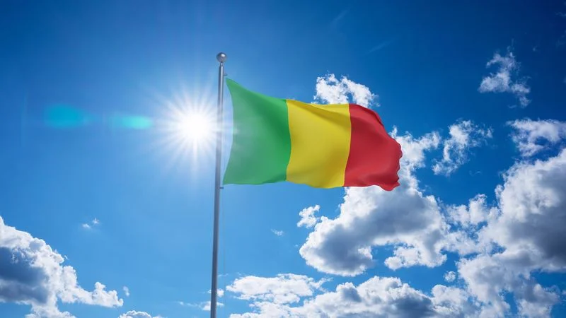 3 Indians abducted in Mali: Woman says she is unable to contact her son working in that country