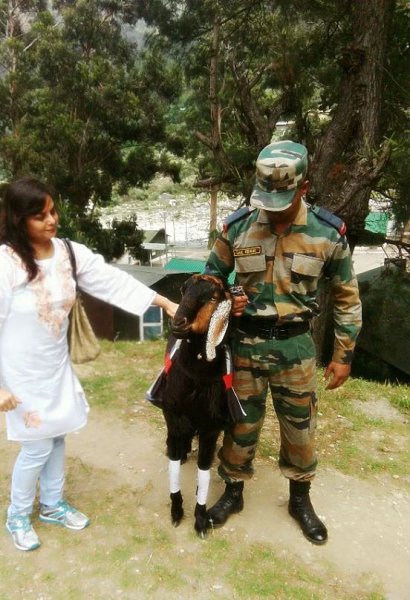 Meet Mastana, the Goat who Holds Havaldar Rank in Indian Army