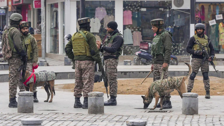 Srinagar Police and CRPF conduct joint antisabotage operations to secure vital installations ...webp