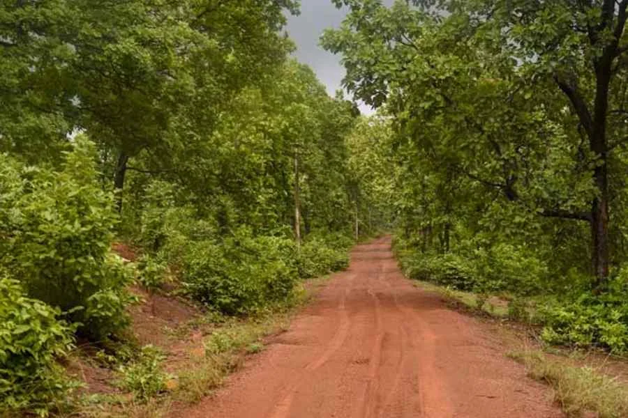 Wildlife board approves over 30 defence projects in protected areas across Arunachal, Ladakh, Sikkim, Gujarat