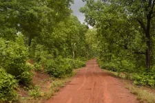Wildlife board approves over 30 defence projects in protected areas across Arunachal, Ladakh, Sikkim, Gujarat