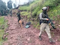 Hunt for terrorists in Kulgam in final stages: Kashmir IGP