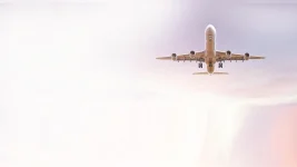 India extends airspace closure for Pakistan-registered flights till Oct 24