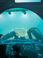 Indian Navy achieves mating with foreign submarines in South China Sea during exercise: Officials