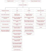 W020181010627243134095 (1).webp