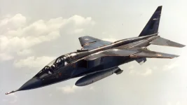 If HAL Manufactured Jaguars in India, Why Can’t It Simply Produce the Parts Required to Keep the Aircraft Flying?
