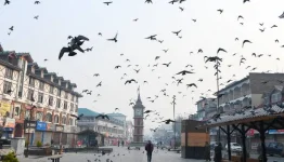 Seven Years of Article 370 Abrogation: Examining the Eradication of Separatist Influence and Overground Worker Networks